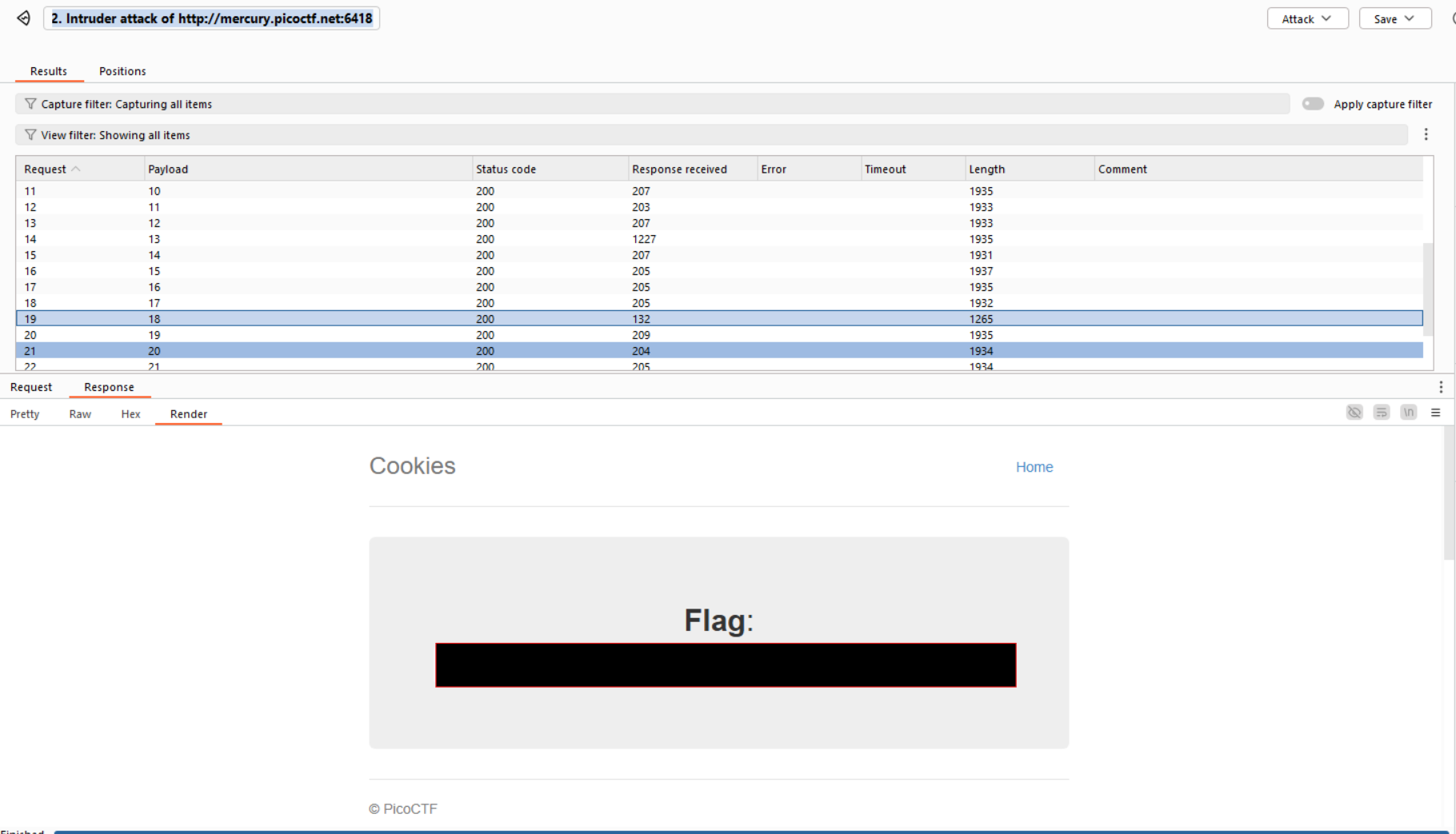 Burp Suite Setup